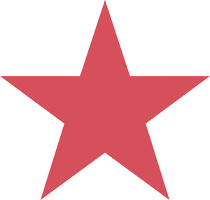 Open image in slideshow, Star Class Insignia
